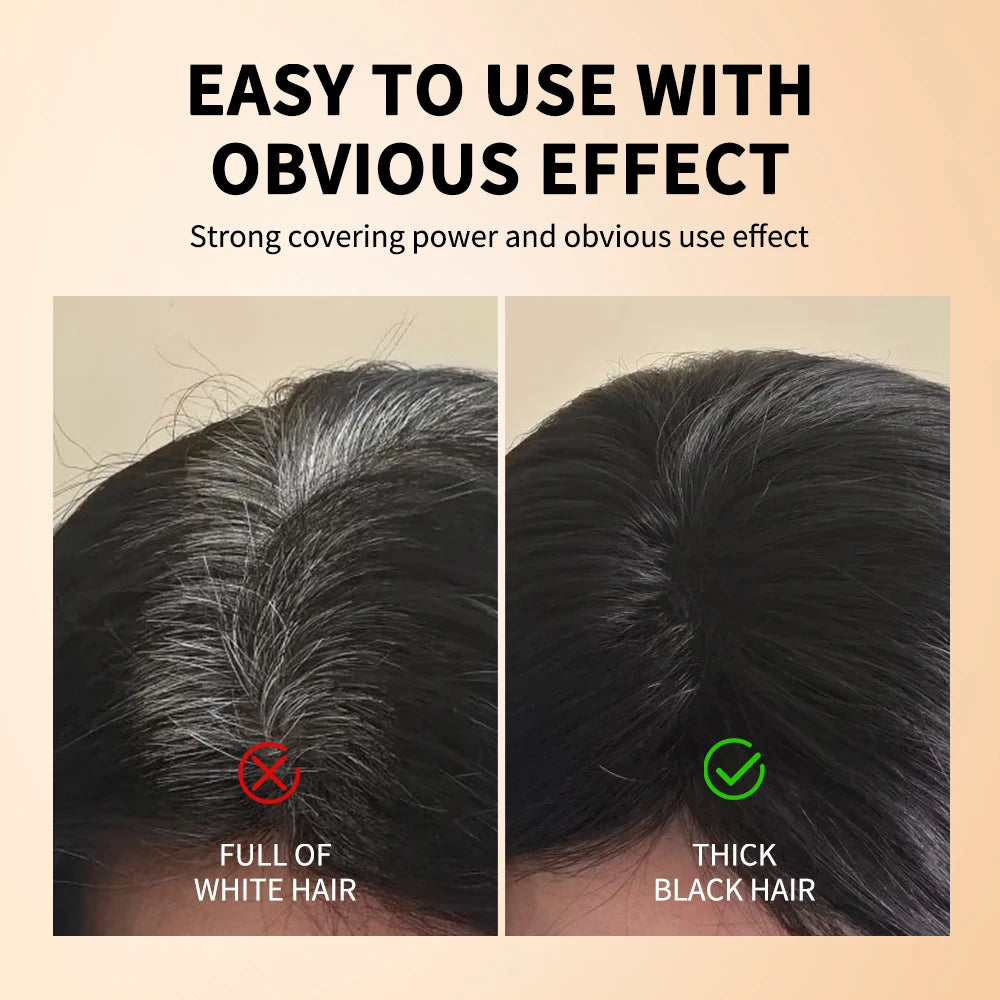 Shoppikala 2-in-1 black brown coffee hair dye stick with comb for temporary, washable hair coloring and covering white hairs.